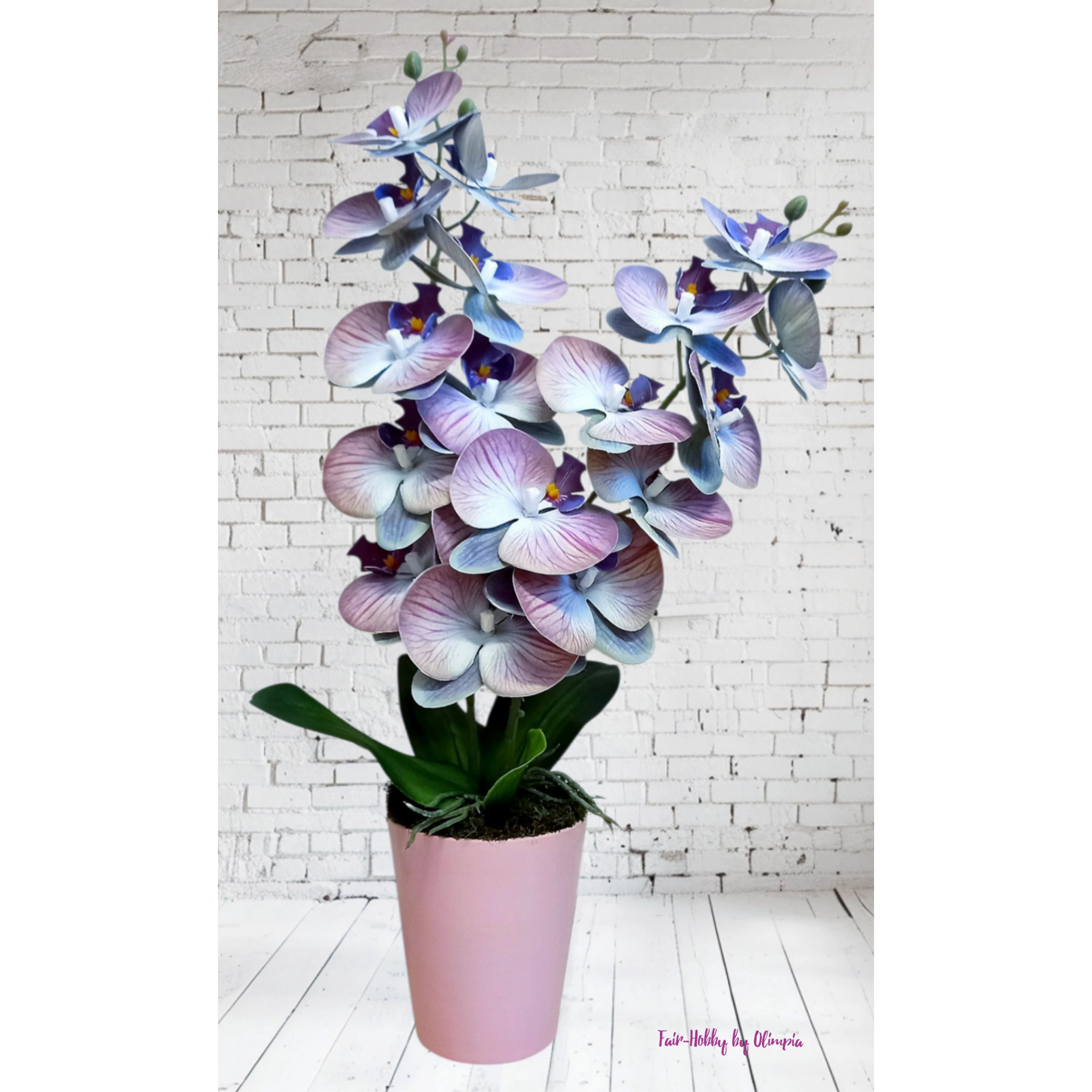 Orchidea rózsaszín kaspóban 