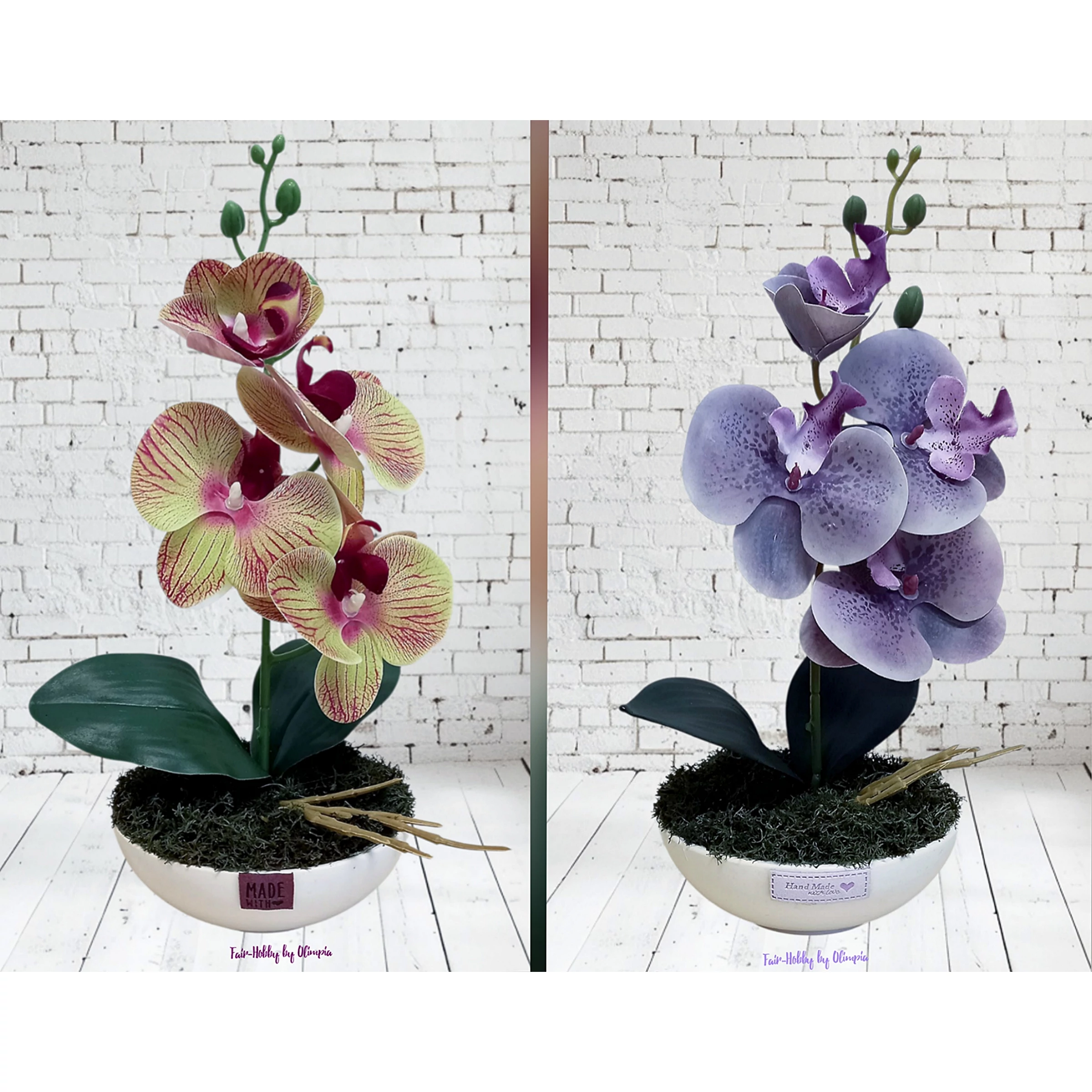 Orchidea kerámia kaspóban 