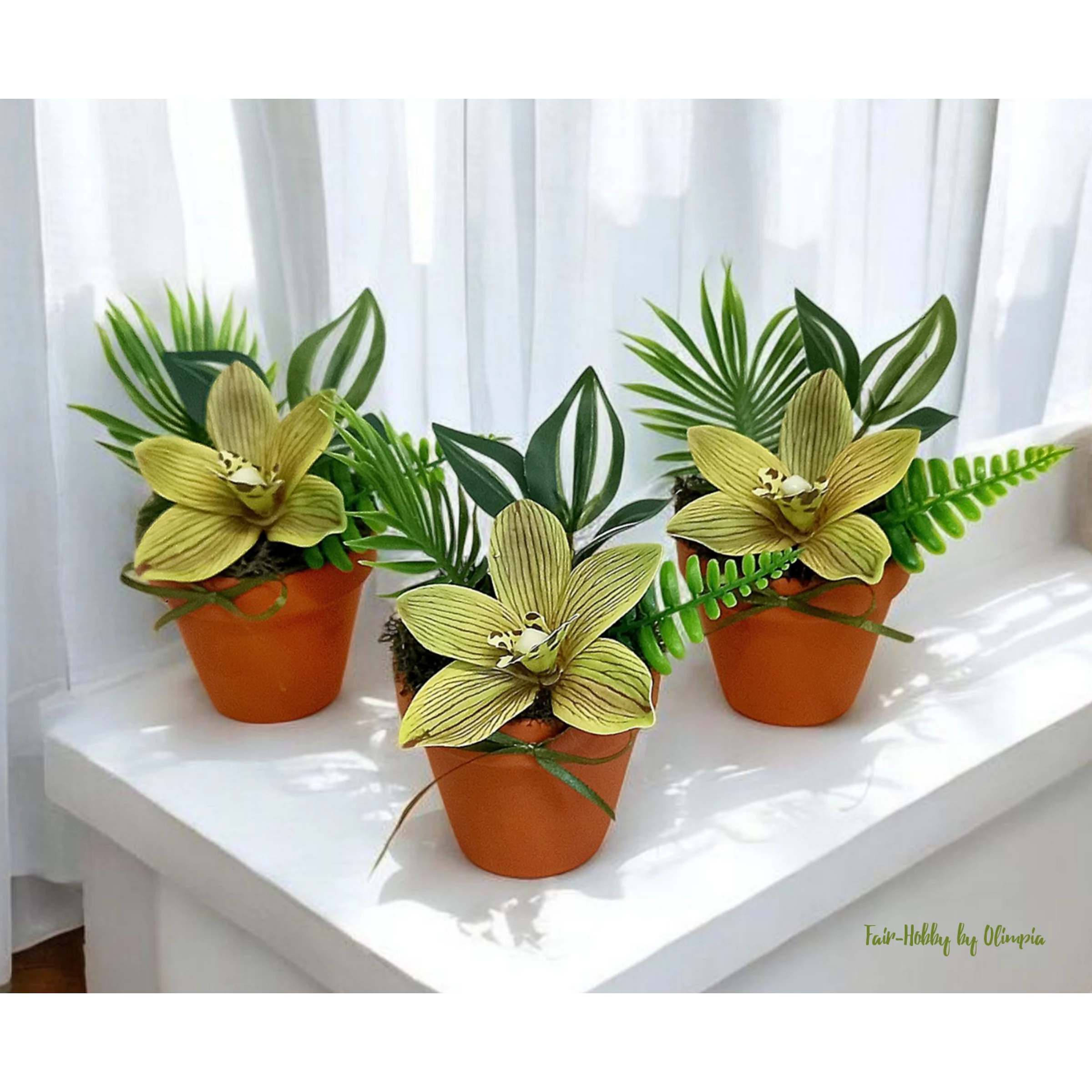 Cymbidium kaspóban