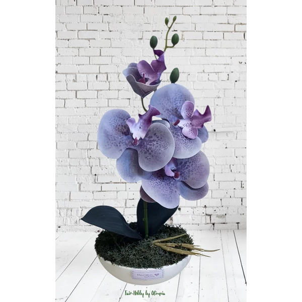 Orchidea kerámia kaspóban 