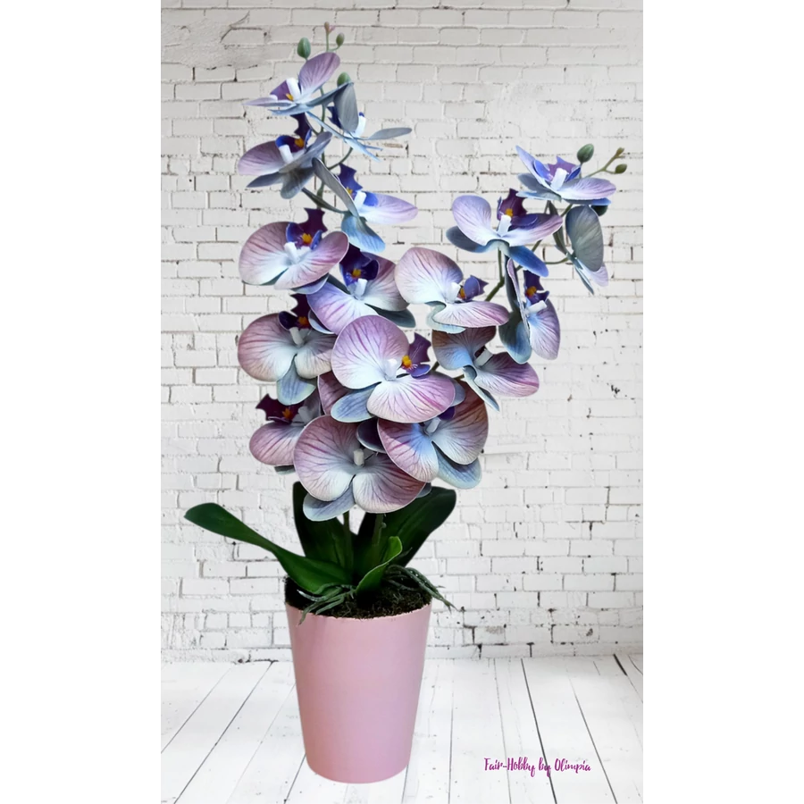 Orchidea rózsaszín kaspóban 