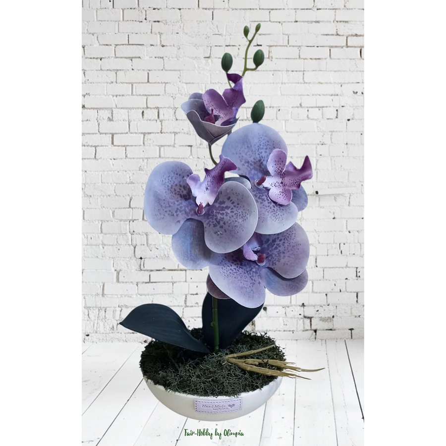 Orchidea kerámia kaspóban 