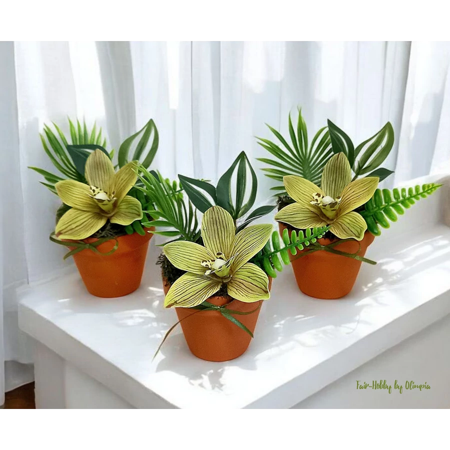 Cymbidium kaspóban